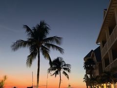 -维兹卡亚博物馆及花园