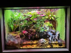 -上海海洋水族馆