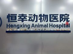 -恒幸动物医院·急重症转诊中心·神经内外科·CT核磁