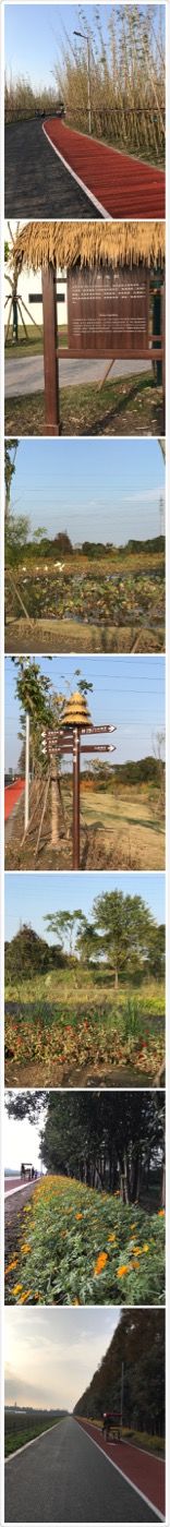 -上海长兴岛郊野公园