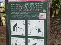 -奈良公园