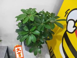 -痘博士天津·全国连锁祛痘机构