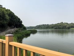 -大青沟风景区