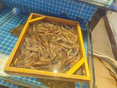-隐厨·海鲜餐厅(恒通路店)