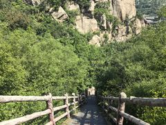 -北京凤凰岭