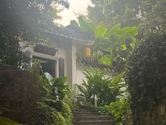 -广州兰圃