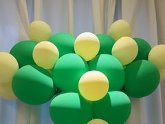 -后湖小院·乡野田园菜