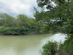 -木守西溪溪隐餐厅