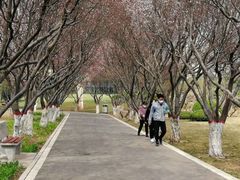 -石家庄市植物园