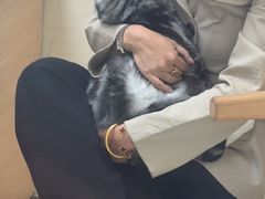 -全心全意连锁动物医院·微创中心·内科急重症·心脏专科(丰管路店)