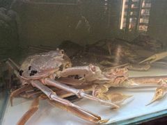 -樱之盛宴·蟹料理海鲜自助(前进大街店)