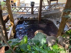-云涛森林温泉