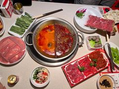 -小龙坎火锅(全球旗舰店)