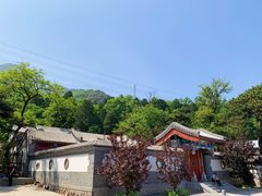 -阳台山自然风景区