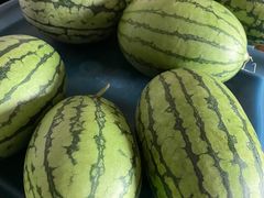 -庞各庄翠芳园西瓜蔬菜基地采摘园