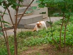 -北京大学-学五食堂