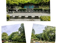 -红梅公园