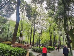 -温江公园