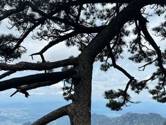 -黄山风景区