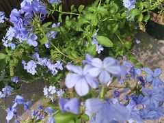 -四宜糕团店(南大街店)