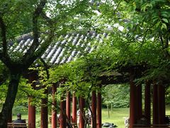-杭州植物园