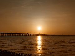 -宝安西湾红树林湿地公园