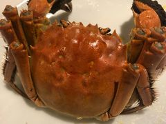 -嘉定凯悦·咖啡厅