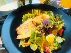 wkate&nbsp;salad&nbsp;威克特沙拉-威克特披萨汉堡