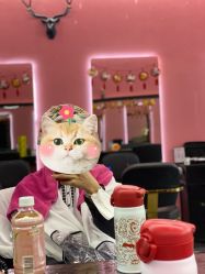 -东方美妍美发沙龙