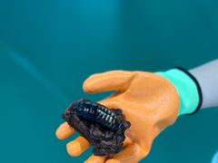 -上海昆虫博物馆