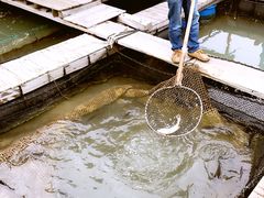 -海上驿站渔家菜馆