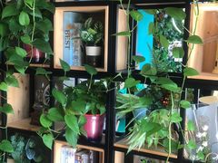 -ZING COFFEE 镜咖啡