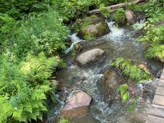 -五营红松林海景区