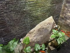 -巢湖名吃·东关老鹅汤(江南风情街店)