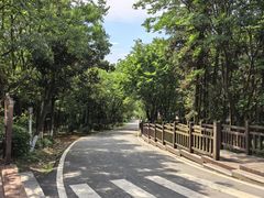 -游子山休闲旅游区