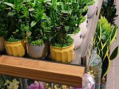 -鹿岛生活(熙地港店)