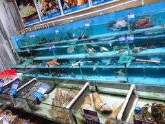 水产区-强记海鲜·大排档(蛇口新街店)