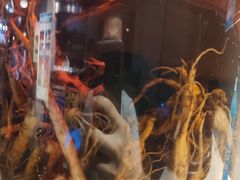 -阳光牧场自助餐厅(宝德购物中心店)