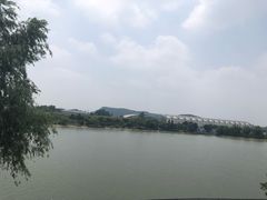 -羊山湖公园