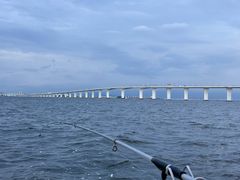 -鑫艋游艇海钓俱乐部