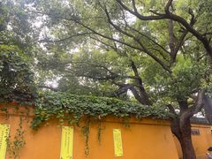 -西园戒幢律寺