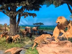 -国家自然博物馆