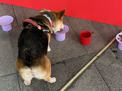 -SM城市广场(扬州店)