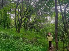 -虞山风景区