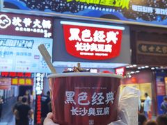 -黑色经典臭豆腐·湖南特产(潇湘文化店)