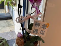 -LE SAPHIR 莎菲尔菓子(和兴店)