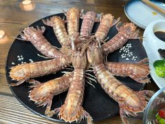 -鲁前海沿儿