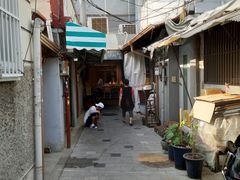 -通仁市场