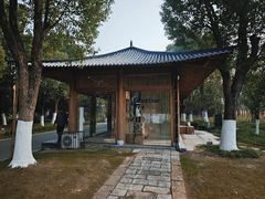 -长田漾湿地公园