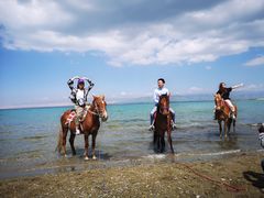 -青海湖国家重点风景名胜区